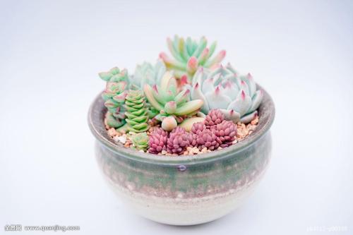 ܹģ2000ԪйҵĻ仧Ϻ