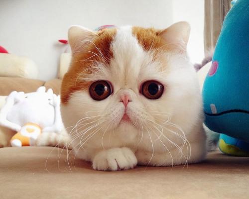 长春市人大常委会原副主任史长友违纪违法被双开